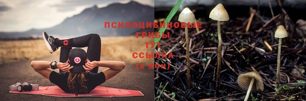 гашик Верхнеуральск